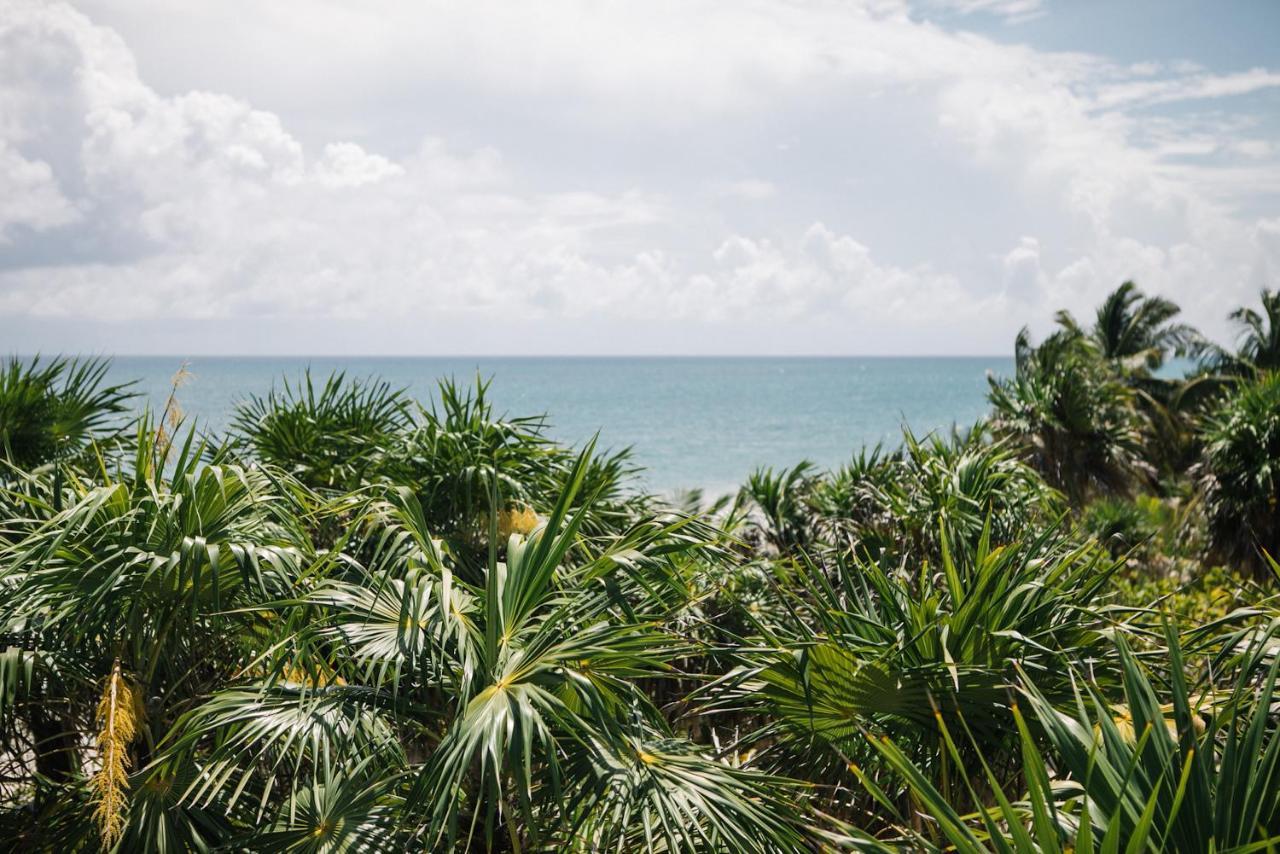 Nest Tulum Exterior foto